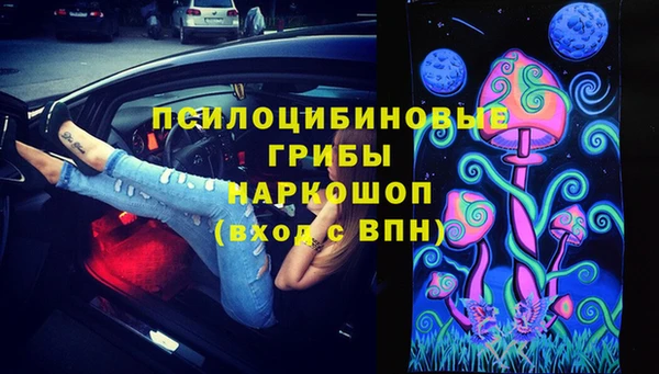 герыч Алексин
