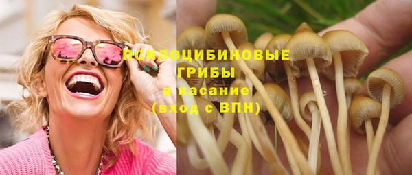 a pvp Алексеевка